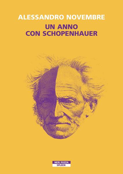 Un anno con Schopenhauer - Alessandro Novembre - ebook