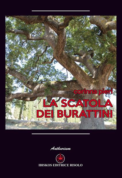 La scatola dei burattini - Corinna Pieri - copertina