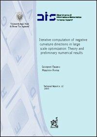 Iterative computation of negative curvative directions in large scale optimization: theory and preliminary numerical results - Giovanni Fasano,Massimo Roma - copertina