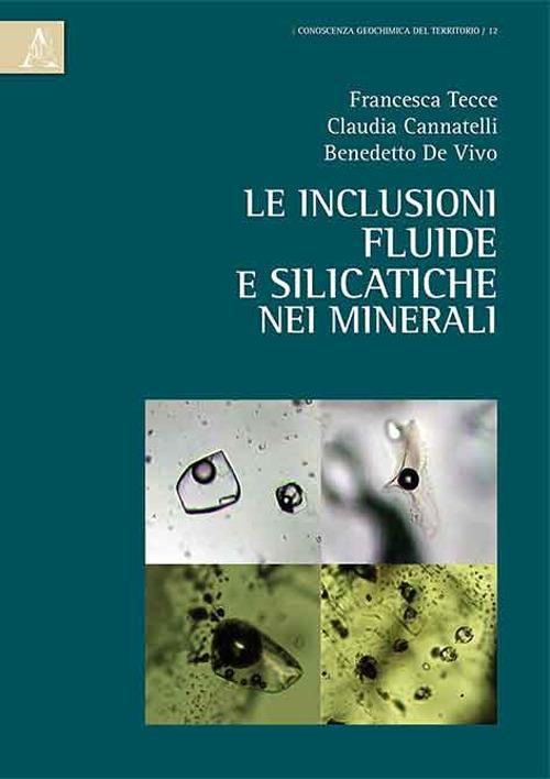 Le inclusioni fluide e silicatiche nei minerali - Francesca Tecce,Claudia Cannatelli,Benedetto De Vivo - copertina