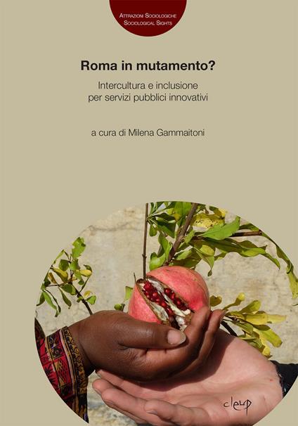 Roma in mutamento? Intercultura e inclusione per servizi pubblici innovativi - copertina