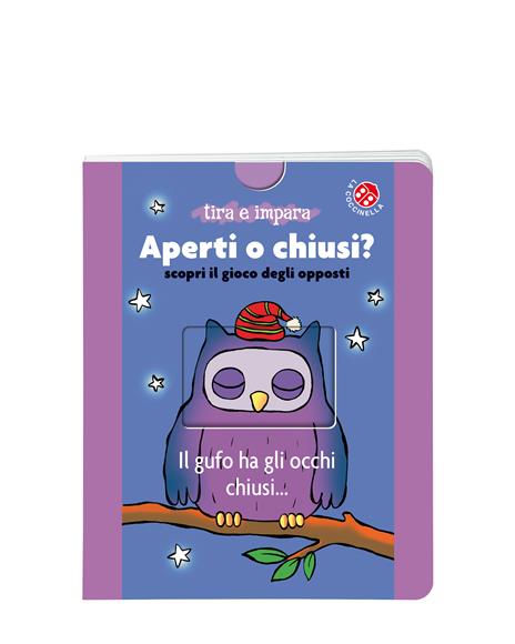 Aperti o chiusi? Scopri il gioco degli opposti. Ediz. a colori - Lucia Salemi - copertina