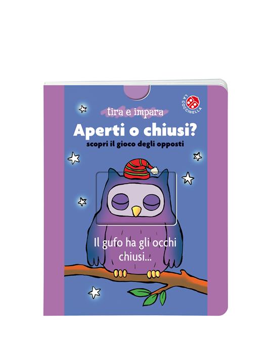 Aperti o chiusi? Scopri il gioco degli opposti. Ediz. a colori - Lucia Salemi - copertina