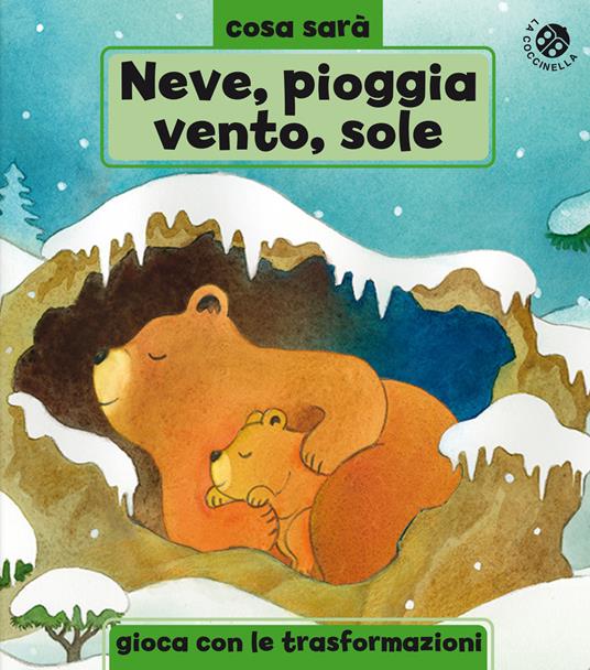 Neve, pioggia, vento o sole? Le stagioni. Ediz. a colori - Giuliano Ferri - copertina