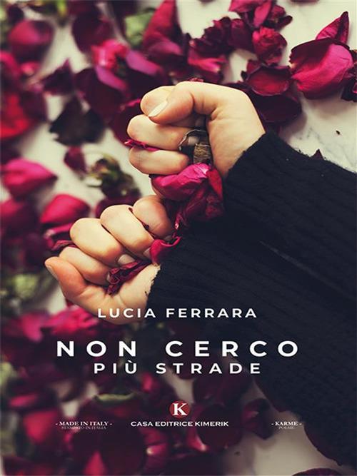 Non cerco più strade - Lucia Ferrara - ebook