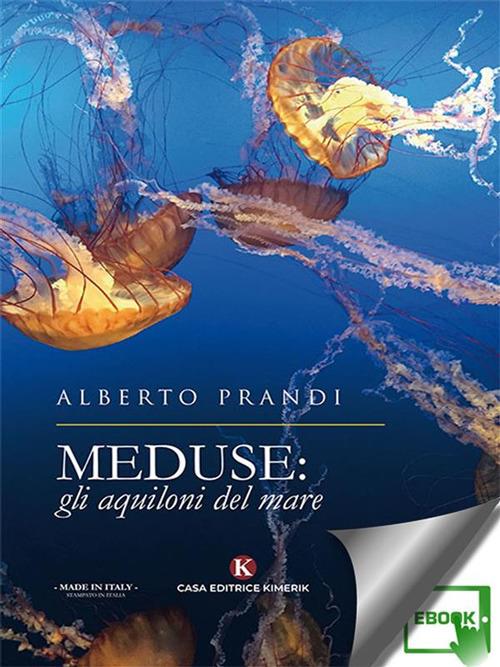 Meduse: gli aquiloni del mare - Alberto Prandi - ebook