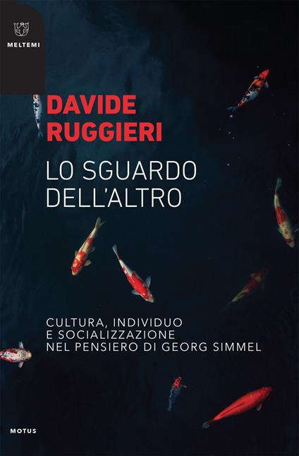 Lo sguardo dell'altro. Cultura, individuo e socializzazione nel pensiero di Georg Simmel - Davide Ruggieri - ebook