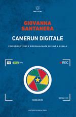 Camerun digitale. Produzione video e disuguaglianza sociale a Douala