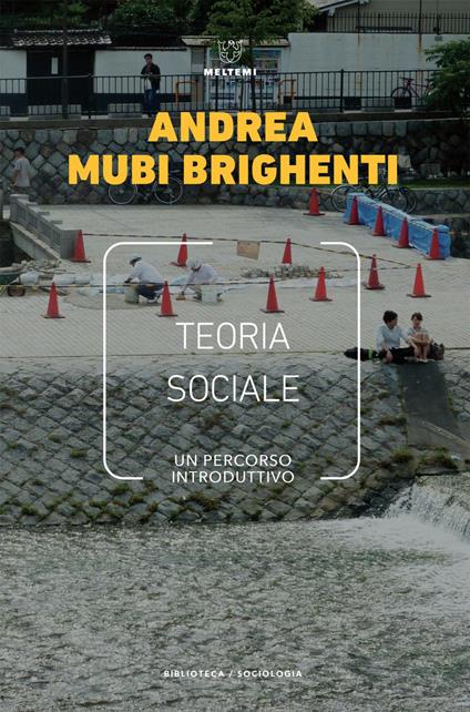 Teoria sociale. Un percorso introduttivo - Andrea Mubi Brighenti - ebook