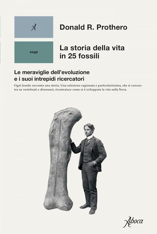 La storia della vita in 25 fossili. Le meraviglie dell'evoluzione e i suoi intrepidi ricercatori - Donald R. Prothero,Costanza Bocchia - ebook