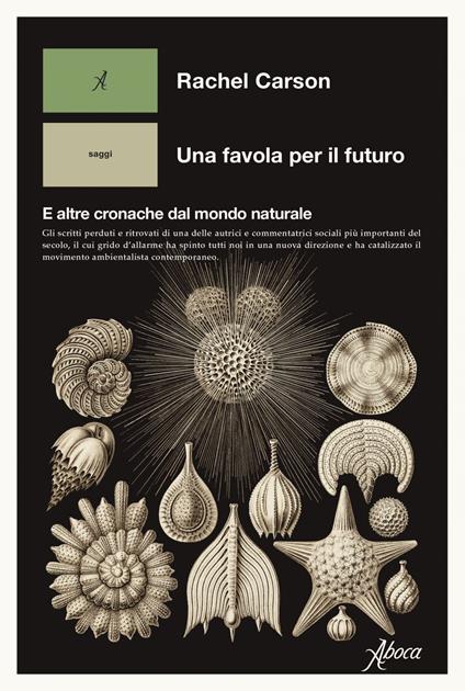 Una favola per il futuro. E altre cronache dal mondo naturale - Rachel Carson - copertina