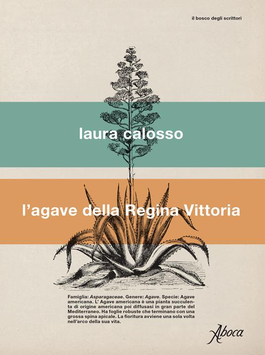 L'agave della regina Vittoria - Laura Calosso - copertina