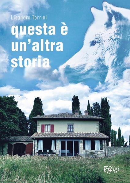 Questa è un'altra storia - Lisandro Torrini - copertina