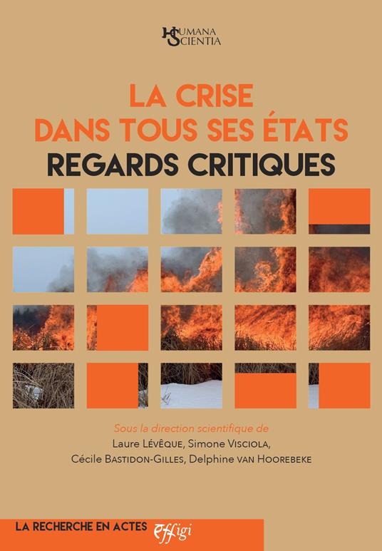 La crise dans tous ses états. Regards critiques - Laure Lévêque,Simone Visciola,Cécile Bastidon-Gilles - copertina