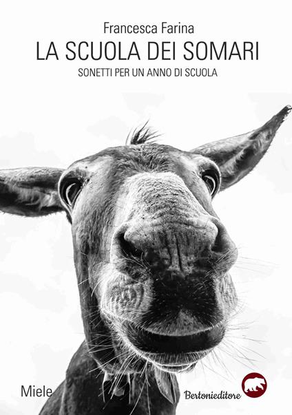 La scuola degli asini selvaggi - Francesca Farina - copertina