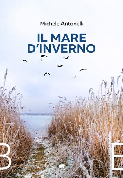 Il mare d'inverno - Michele Antonelli - copertina