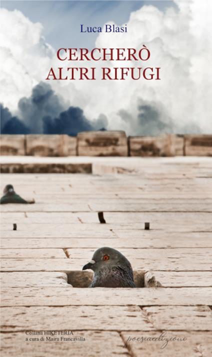 Cercherò altri rifugi - Luca Blasi - copertina