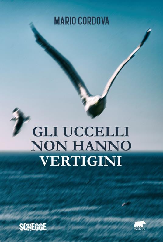 Gli uccelli non hanno vertigini - Mario Cordova - copertina