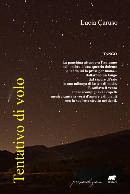 Tentativo di volo - Lucia Caruso - copertina