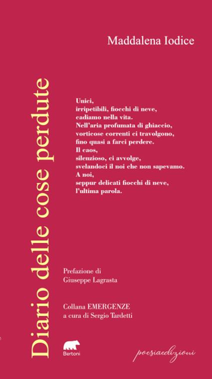 Diario delle cose perdute - Maddalena Iodice - copertina