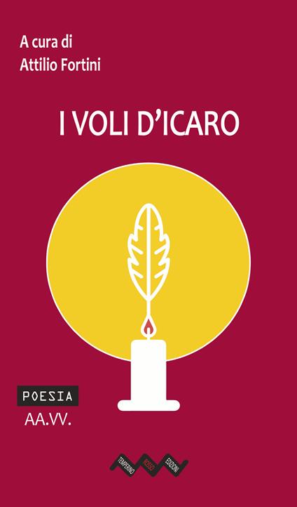 I voli d'Icaro - copertina