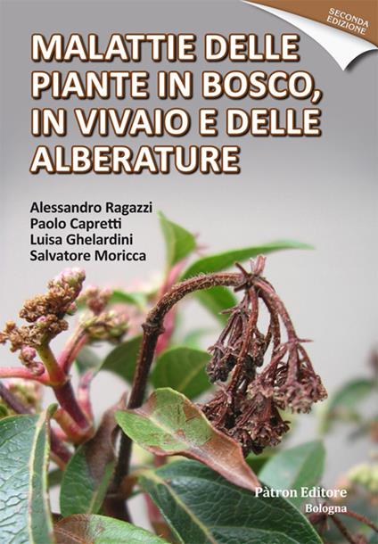 Malattie delle piante in bosco, in vivaio e delle alberature - Alessandro Ragazzi,Paolo Capretti,Luisa Ghelardini - copertina