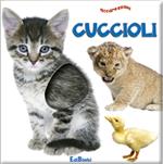 Cuccioli