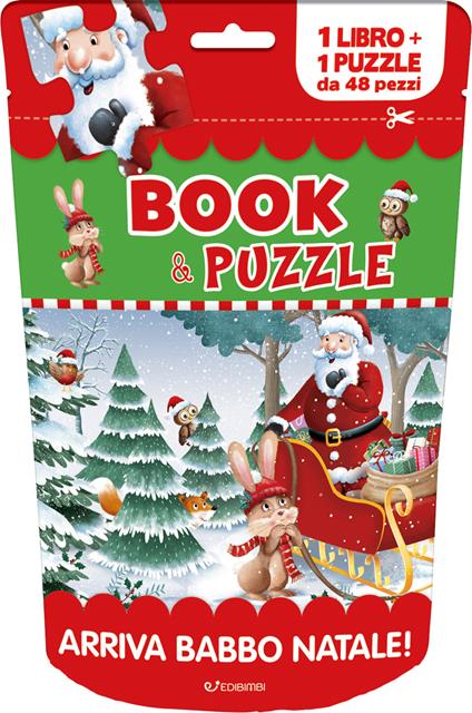 Arriva Babbo Natale! Book&puzzle. Ediz. a colori. Con puzzle - Rob Parkinson,Maria Rita Gentili - copertina