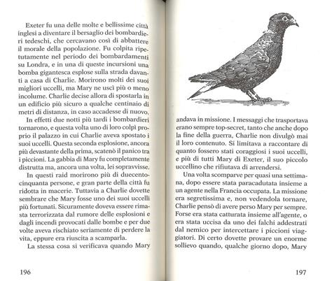 Jet, un eroe con la coda e altri animali straordinari - David Long - 5