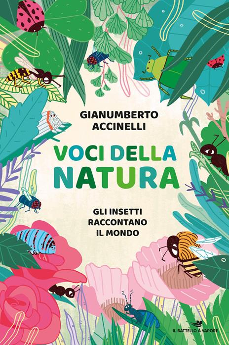 Voci della natura. Gli insetti raccontano il mondo - Gianumberto Accinelli - copertina