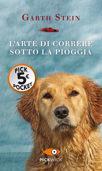 L'arte di correre sotto la pioggia - Garth Stein - copertina