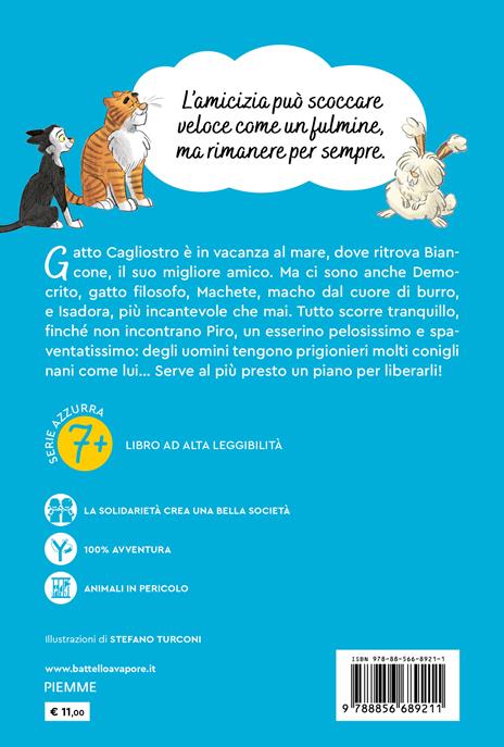 Un mistero per gatto Cagliostro. Ediz. ad alta leggibilità - Fabrizio Altieri - 2