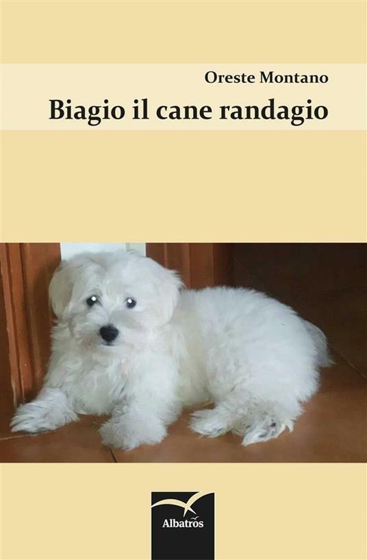 Biagio il cane randagio - Oreste Montano - ebook