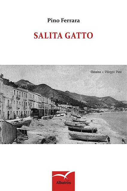 Salita gatto - Pino Ferrara - ebook