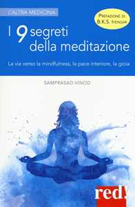 Image of I 9 segreti della meditazione. La via verso la mindfulness, la pace interiore, la gioia