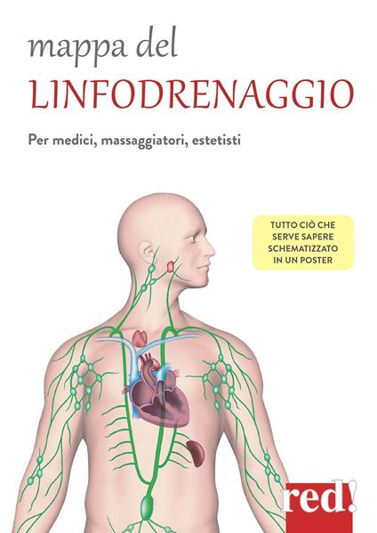 Mappa del linfodrenaggio. Per medici, massaggiatori, estetisti - copertina