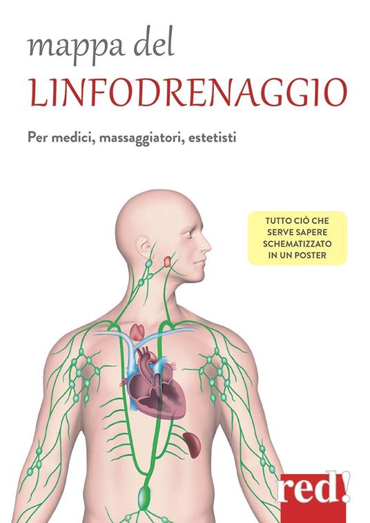 Mappa del linfodrenaggio. Per medici, massaggiatori, estetisti - copertina