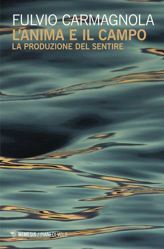 L' anima e il campo. La produzione del sentire - Fulvio Carmagnola - copertina