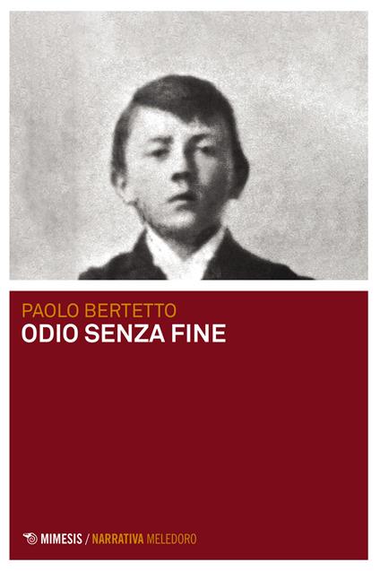 Odio senza fine - Paolo Bertetto - copertina