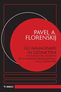 Image of Gli immaginari in geometria. Estensione del dominio delle immagini bidimensionali nella geometria