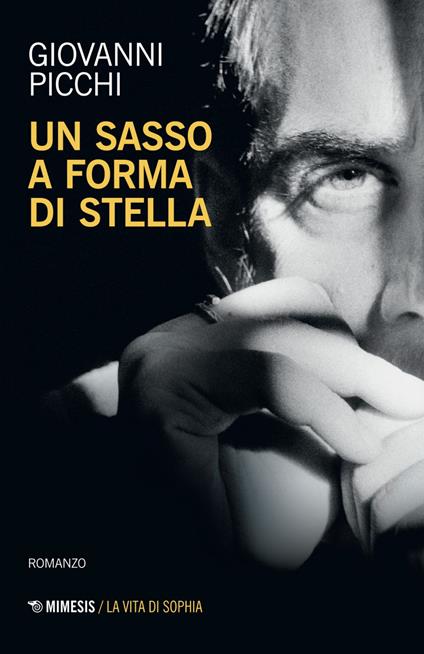 Un sasso a forma di stella - Giovanni Picchi - ebook