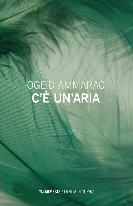 C'è un'aria - Ogeid Ammarac - copertina