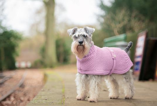 Cappottini per cani. 15 pratici progetti a maglia - Debbie Humphreys -  Libro - Logos - | IBS