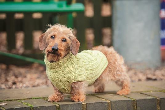 Cappottini per cani. 15 pratici progetti a maglia - Debbie Humphreys -  Libro - Logos - | IBS