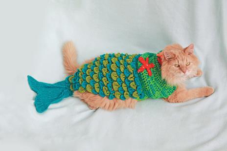 Silly sweaters per gatti - Jonah Stern - 6