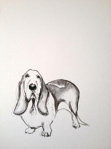 A dog a day - Sally Muir - 3