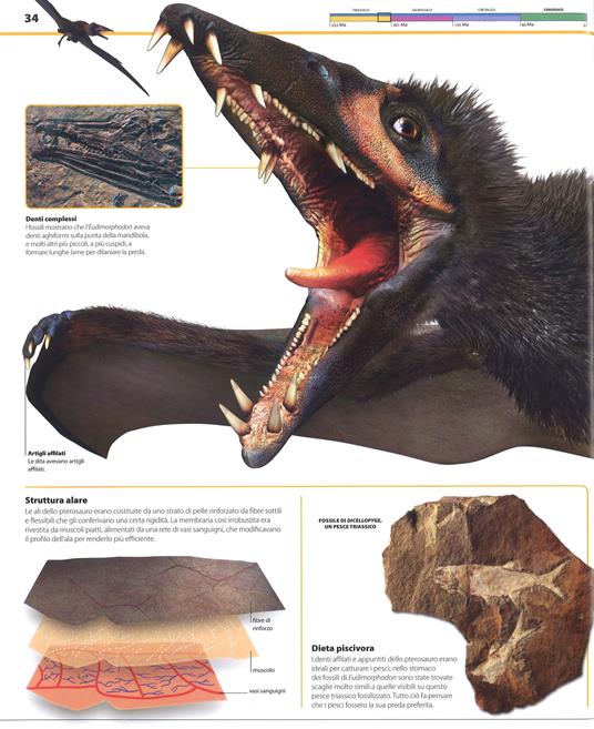 La grande enciclopedia dei dinosauri - John Woodward,Darren Naish - 6
