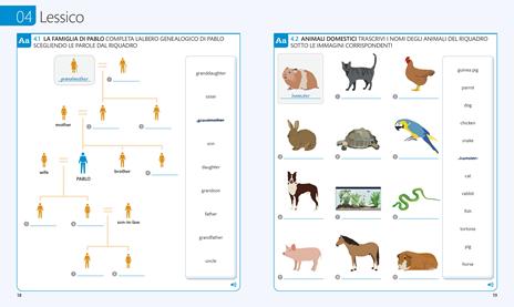 English for everyone. Livello 1° base. Attività e pratica - Thomas Booth,Tim Bowen,Susan Barduhn - 5