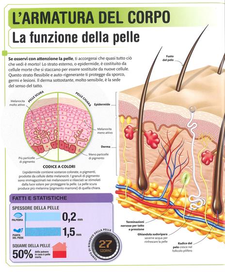 Super corpo umano. Scopri l'incredibile potenziale del tuo corpo. Ediz. a colori - 4