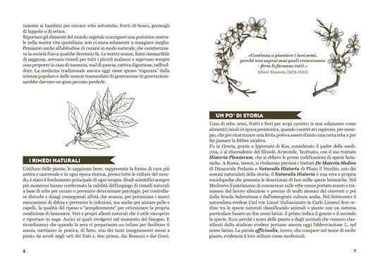 In salute con semi e germogli. Dall'aneto alla zucca, tisane, ricette e consigli per il benessere quotidiano - Simona Recanatini - 2